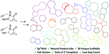 Graphical abstract: Fsp3-rich and diverse fragments inspired by natural products as a collection to enhance fragment-based drug discovery