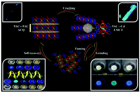 Graphical abstract: One-dimensional co-crystallized coordination polymers showing reversible mechanochromic luminescence: cation–anion interaction directed rapid self-recovery