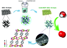 Graphical abstract: In situ synthesis of quasi-needle-like bimetallic organic frameworks on highly porous graphene scaffolds for efficient electrocatalytic water oxidation