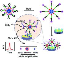 Graphical abstract: Host–guest recognition coupled with triple signal amplification endows an electrochemiluminescent biosensor with enhanced sensitivity