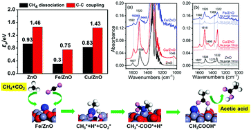 Graphical abstract: Computational and experimental identification of strong synergy of the Fe/ZnO catalyst in promoting acetic acid synthesis from CH4 and CO2