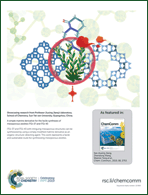 Graphical abstract: Inside back cover