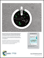 Graphical abstract: Inside back cover