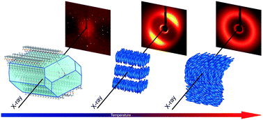 Graphical abstract: Cholesterol-based photo-switchable mesogenic dimers. Strongly bent molecules versus an intercalated structure