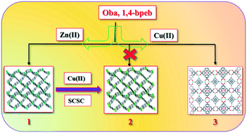 Graphical abstract: A quantitative transmetalation with a metal organic framework compound in a solid–liquid interface reaction: synthesis, structure, kinetics, spectroscopy and electrochemistry