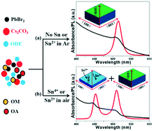 Graphical abstract: Tin-assisted growth of all-inorganic perovskite nanoplatelets with controllable morphologies and complementary emissions