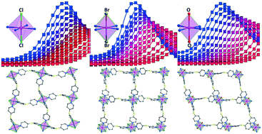 Graphical abstract: Syntheses, structures, and magnetic properties of three two-dimensional cobalt(ii) single-ion magnets with a CoIIN4X2 octahedral geometry