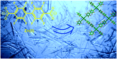 Graphical abstract: Structural diversity of zinc(ii) coordination polymers with octafluorobiphenyl-4,4′-dicarboxylate based on mononuclear, paddle wheel and cuboidal units