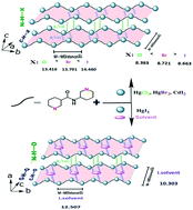 Graphical abstract: Hydrogen-bonded 3D network of d10-metal halide coordination polymer containing N-(3-pyridinyl) nicotinamide: influence of ligand conformation, halide anions and solvent