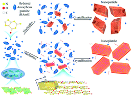 Graphical abstract: Controlled crystallization of anhydrous guanine β nano-platelets via an amorphous precursor