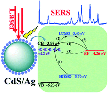 Graphical abstract: A green and general strategy for the synthesis of hollow Ag/CdS nanocomposites for superior SERS performance
