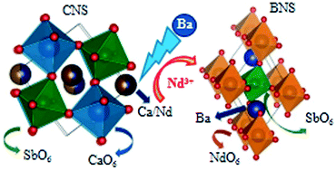 Graphical abstract: Phase transitions in Ca2−xBaxNdSbO6 complex perovskites: a combined crystallographic and vibrational investigation