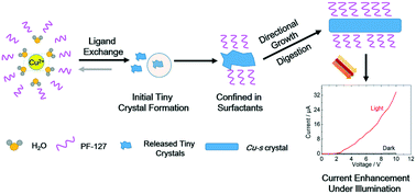Graphical abstract: Surfactant-assisted synthesis of large Cu-BTC MOF single crystals and their potential utilization as photodetectors