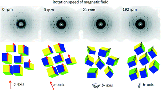 Graphical abstract: X-ray diffraction study on the orientation dynamics of biaxial microcrystals under static and rotating magnetic fields