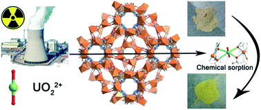 Graphical abstract: An anionic manganese(ii) metal–organic framework for uranyl adsorption
