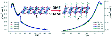 Graphical abstract: Two 1D carboxylate-bridged magnets displaying solvent-dependent canted antiferromagnetic ordering