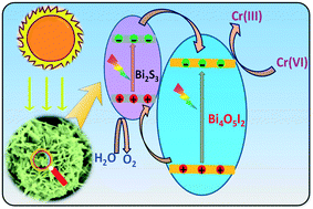 Graphical abstract: Bi4O5I2 flower/Bi2S3 nanorod heterojunctions for significantly enhanced photocatalytic performance