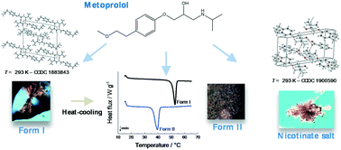 Graphical abstract: Metoprolol: solid forms of a top selling antihypertensive