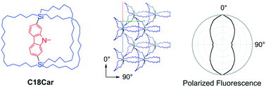 Graphical abstract: Polarized fluorescence of a crystal having uniaxially oriented molecules by a carbazole-diyl-bridged macrocage