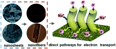 Graphical abstract: Morphological evolution process of δ-MnO2 from 2-D to 1-D without phase transition