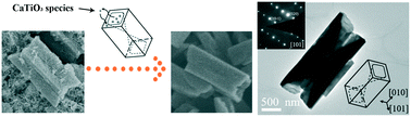 Graphical abstract: Hydrothermal synthesis of perovskite CaTiO3 tetragonal microrods with vertical V-type holes along the [010] direction