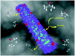 Graphical abstract: P–N heterointerface-determined acetone sensing characteristics of α-MoO3@NiO core@shell nanobelts