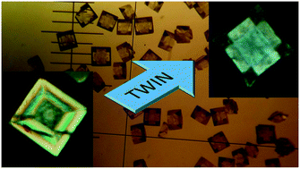 Graphical abstract: Euhedral crystals of Na2TiGeO5 with switchable translucency and reorientable microstructure