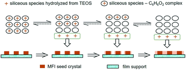 Graphical abstract: Controlled release of siliceous species for the fabrication of highly b-oriented MFI zeolite films