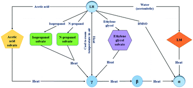 Graphical abstract: Polymorphism of levofloxacin: structure, properties and phase transformation