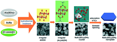 Graphical abstract: Hydrothermal synthesis of natroalunite nanostructures and their F−-ion removal properties in water