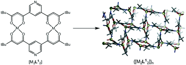 Graphical abstract: Self-assembly of bis-β-diketone-based [M2L2] dinuclear platforms into 2-dimensional coordination polymers