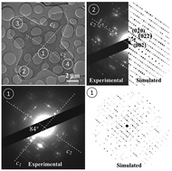 Graphical abstract: Controlled crystallization of twinned crystalline guanine microplatelets