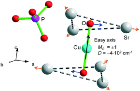 Graphical abstract: Manifestation of strong magnetic and giant Raman anisotropy in single crystals of Cu for H substituted strontium hydroxyapatite