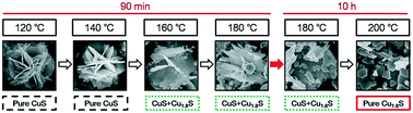 Graphical abstract: Morphology and phase evolution from CuS to Cu1.8S in a hydrothermal process and thermoelectric properties of Cu1.8S bulk