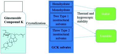 Graphical abstract: Crystal structure and physical stability of ginsenoside compound-K solvates