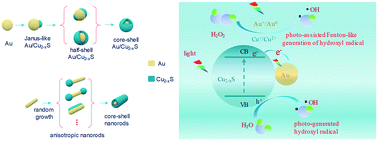 Graphical abstract: Growth behavior of Au/Cu2−xS hybrids and their plasmon-enhanced dual-functional catalytic activity