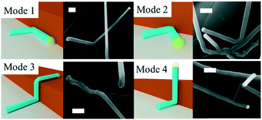 Graphical abstract: Growth of GaAs nanowire–graphite nanoplatelet hybrid structures