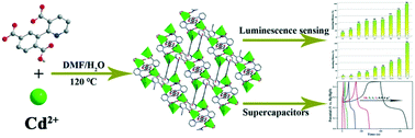 Graphical abstract: Luminescence sensing and supercapacitor performances of a new (3,3)-connected Cd-MOF