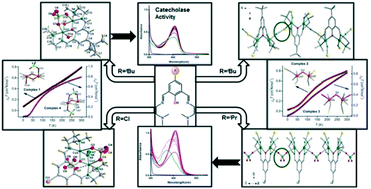 Graphical abstract: Designing antiferromagnetically coupled mono-, di- and tri-bridged copper(ii)-based catecholase models by varying the ‘Auxiliary Parts’ of the ligand and anionic co-ligand