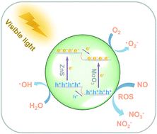 Graphical abstract: Controllable synthesis of a 3D ZnS@MoO3 heterojunction via a hydrothermal method towards efficient NO purification under visible light