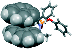 Graphical abstract: Stacked aryl groups in P-resolved cyclic phosphonamides as a new conformational constraint