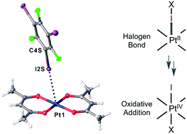 Graphical abstract: Metal-involving halogen bond Ar–I⋯[dz2PtII] in a platinum acetylacetonate complex