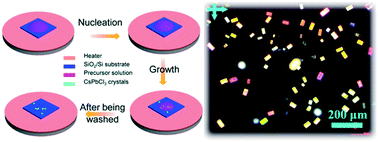 Graphical abstract: Facile solution synthesis, morphology control, and anisotropic optical performance of CsPbCl3 microcrystals