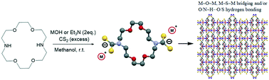 Graphical abstract: Bis-Dithiocarbamates derived from 1,10-diaza-18-crown-6 as ligand tectons for 1D, 2D and 3D supramolecular structure arrangements