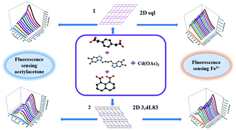 Graphical abstract: New two-dimensional Cd(ii) coordination networks bearing benzimidazolyl-based linkers as bifunctional chemosensors for the detection of acetylacetone and Fe3+