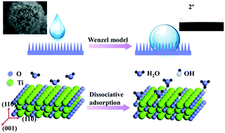 Graphical abstract: The synthesis of bayberry-like mesoporous TiO2 microspheres by a kinetics-controlled method and their hydrophilic films