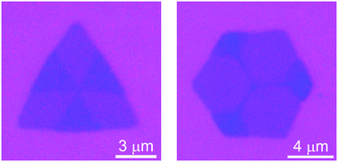 Graphical abstract: Controllable growth of transition metal dichalcogenide multilayer flakes with kirigami structures