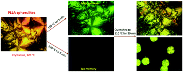 Graphical abstract: Unexpected crystalline memory effect in poly(l-lactide)-based block copolymers