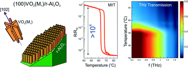 Graphical abstract: Hydrothermal epitaxy growth of self-organized vanadium dioxide 3D structures with metal–insulator transition and THz transmission switch properties