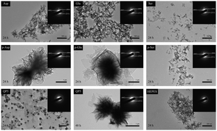 Graphical abstract: Comparing the efficacy of hydroxyapatite nucleation regulated by amino acids, poly-amino acids and an amelogenin-derived peptide